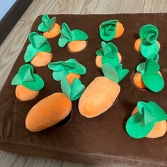 未使用　ペット用　人参🥕畑の画像
