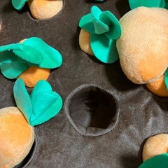 未使用　ペット用　人参🥕畑の画像