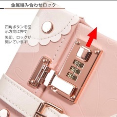 新品未使用✨キャリーケース　2点セット キャリーオン　ピンク　バラ　レトロ　可愛い　ガーリーの画像