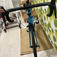 TREK Emonda SL 5 2019年　トレック　エモンダSL5の画像