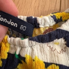 80サイズの画像