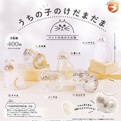 うちの子のけだまだま（猫）4つの画像