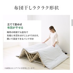 すのこ(2ヶ月使用)の画像