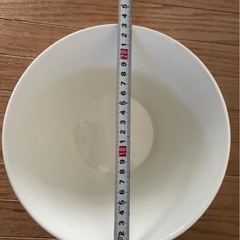 [新品/廃盤]大きな器/COSTA(My-style)の画像