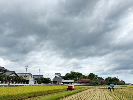 令和7年度元気つくし30キロ玄米 れんげ米
