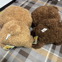 セサミストリート　ぬいぐるみセットの画像