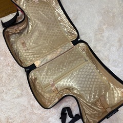 子供が乗れるキャリーケース / スーツケース / 旅行
の画像