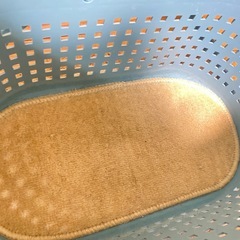 『お話中』ペットキャリーの画像