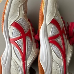 中学校体育館シューズ22センチの画像