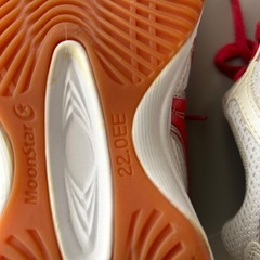 中学校体育館シューズ22センチの画像