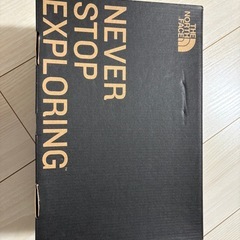 THE NORTH FACEスニーカーの画像