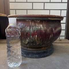 睡蓮鉢　メダカ　植木鉢　　火鉢の画像