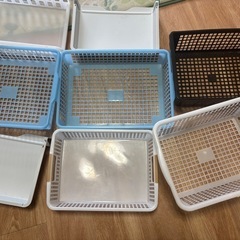 ダイゾー・カスの画像