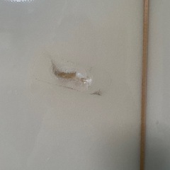 サーフボード ファンボードの画像