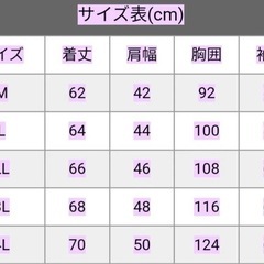 D.GROWストレッチデニムジャンパーの画像