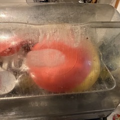 【1,000円】三菱電機 食器乾燥機 TK-ST11（訳あり：熱による変形あり・動作確認済み）の画像