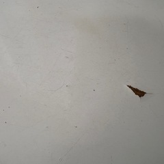 ダイニングテーブル4人掛けワークショップや教室にもの画像