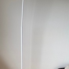 フロアライトの画像