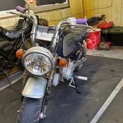 国産　ゴリラ　モンキー50　の画像