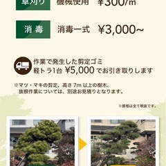 岡山倉敷 剪定・伐採・草刈り 承ります！ - 剪定/造園
