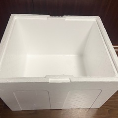 発泡スチロール箱の画像