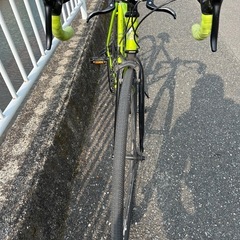 レユニオン　コーレル　REUNION COLEL　の画像