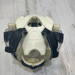 空手、メンホーの画像