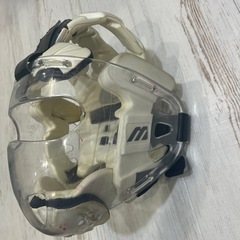 空手、メンホーの画像