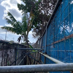 【お取引中】鉄パイプあげます。の画像