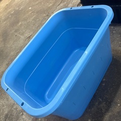 今月末まで！プラケースまとめ売り　ケース　メダカ　飼育　の画像