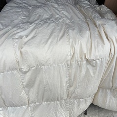 羽毛布団シングル①の画像