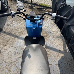 ホンダ ズーマーの画像