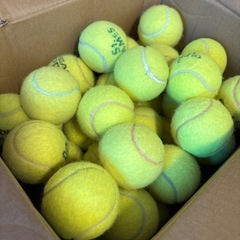 練習用テニスボールの画像