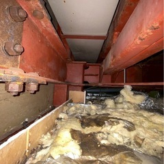 閲覧注意　床下　天井裏　水もれ　害獣　シロアリ − 岡山県