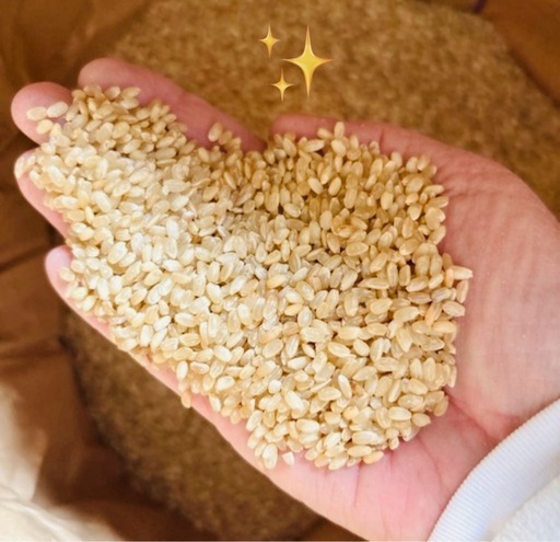 令和7年 自家栽培 減農薬 新米 ヒノヒカリ 玄米15kg ③ 玄米3kg（令和7年産・無肥料自然栽培米 ヒノヒカリ） | はらだ自然