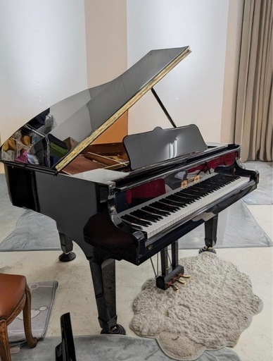 グランドピアノ 2008年製 中古スタインウェイ＆サンズ(STEINWAY&SONS D274) 2008年製