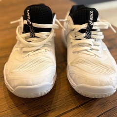 バレーボールシューズ
の画像