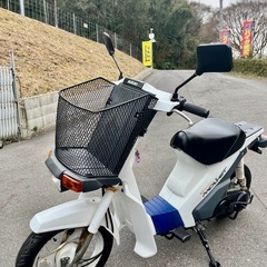 ★スズキモレット 50    白　実働車　2サイクル★の画像