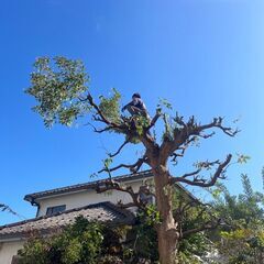 【八潮／未経験OK】造園・設備スタッフ募集｜正社員／アルバイト｜普通自動車免許必須の画像