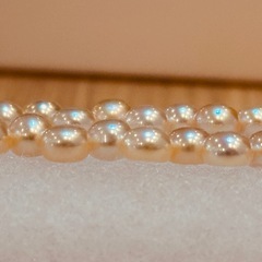 D8011【木場真珠店】 本真珠ネックレス コインパール 淡ピンクの画像