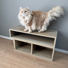 テレビラックの画像