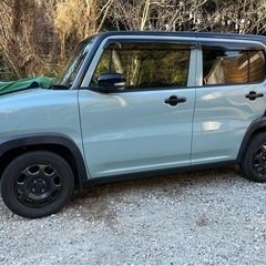 ハスラー　タフワイルド　特別仕様車の画像