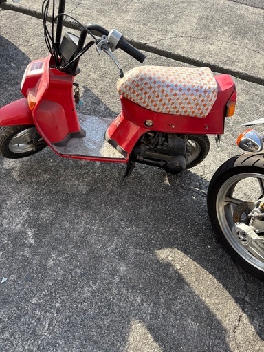 スカッシュ