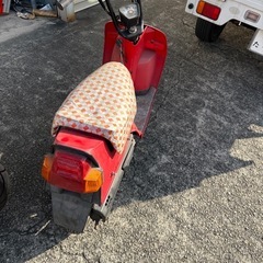 スカッシュの画像