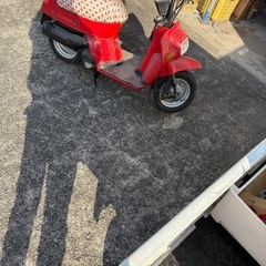 スカッシュの画像