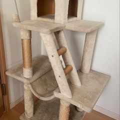 キャットタワーの画像