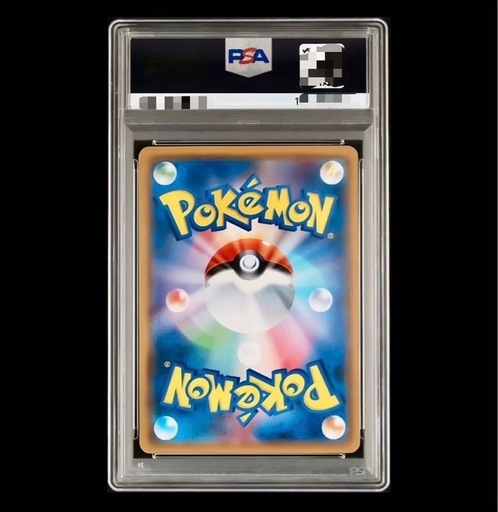 シロナのガブリアスなど　psa10