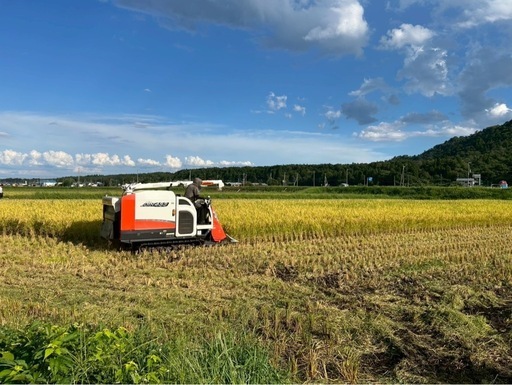 近江米コシヒカリ玄米滋賀県高島市産