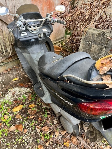♦︎マジェスティ 放置車♦︎
