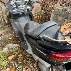 ♦︎マジェスティ 放置車♦︎の画像